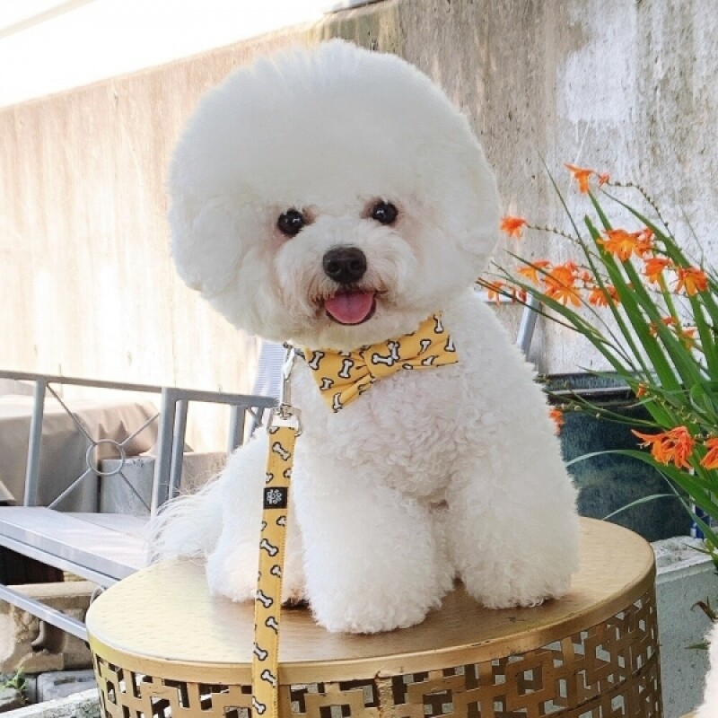 멍템 넥타이 목줄 리드줄 세트